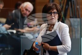 Парламент - заседание - Цвета Караянчева