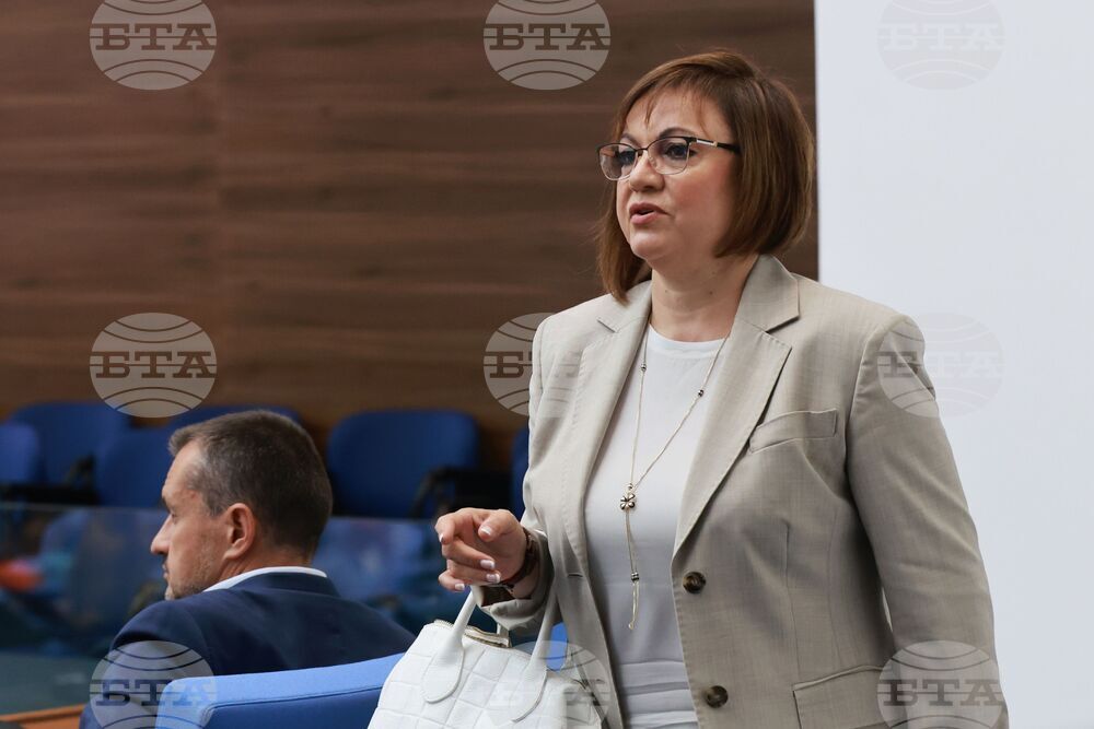 Парламент - заседание - Корнелия Нинова