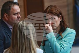 Парламент - заседание - Ертен Анисова