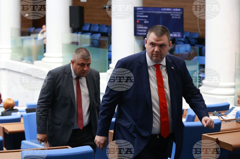 Парламент - заседание - Делян Пеевски
