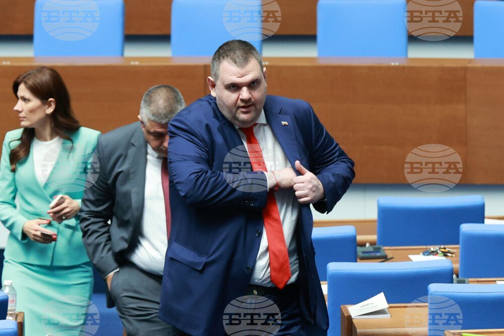 Парламент - заседание - Делян Пеевски