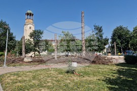 Разград - изсъхнали дървета - премахване