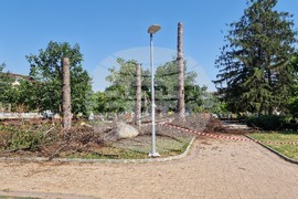 Разград - изсъхнали дървета - премахване