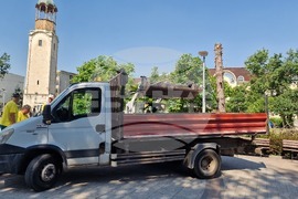 Разград - изсъхнали дървета - премахване