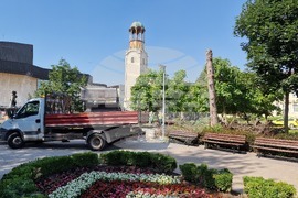 Разград - изсъхнали дървета - отсечени