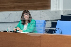 Парламент - заседание - Галя Кондева