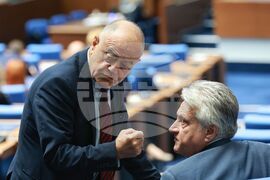 Парламент - заседание