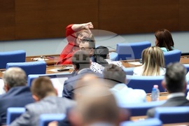 Парламент - заседание