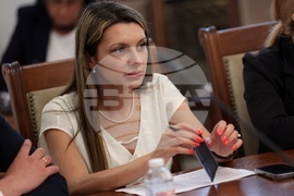 Парламент - Временна комисия - Мартин Божанов - Петьо Петров - заседание