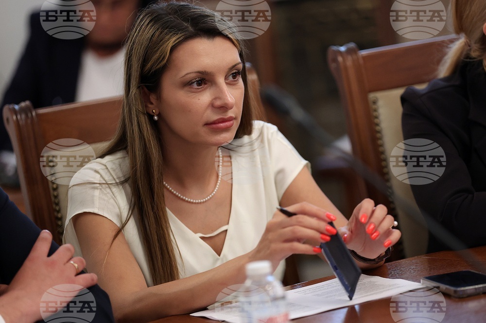 Парламент - Временна комисия - Мартин Божанов - Петьо Петров - заседание