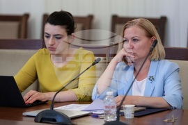 Парламент - Временна комисия - Мартин Божанов - Петьо Петров - заседание