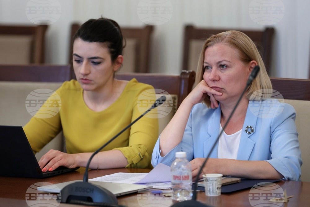 Парламент - Временна комисия - Мартин Божанов - Петьо Петров - заседание