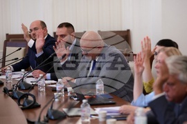 Парламент - Временна комисия - Мартин Божанов - Петьо Петров - заседание