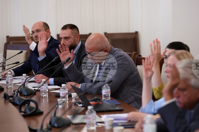 Парламент - Временна комисия - Мартин Божанов - Петьо Петров - заседание