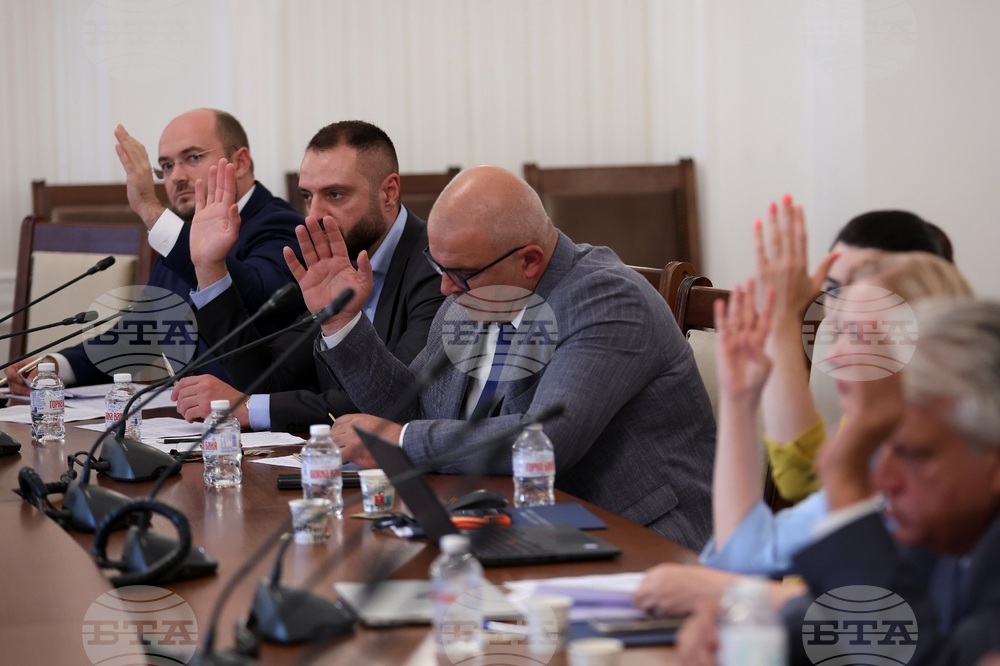 Парламент - Временна комисия - Мартин Божанов - Петьо Петров - заседание