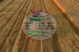 Село Локорско - жътва