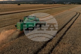 Село Локорско - жътва