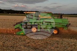 Село Локорско - жътва