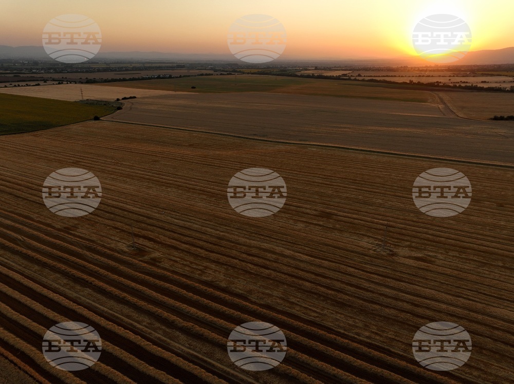 Държавен фонд "Земеделие" започва кръстосаните проверки за Кампания 2025