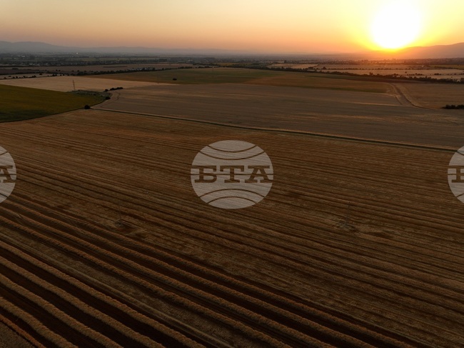 Държавен фонд "Земеделие" започва кръстосаните проверки за Кампания 2025