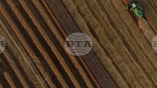 Grain Producers Demand Transparency on Bulgaria’s Backing for EU-Mercosur Deal