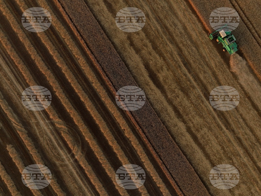 Grain Producers Demand Transparency on Bulgaria’s Backing for EU-Mercosur Deal