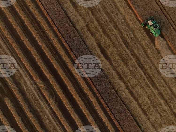 Grain Producers Demand Transparency on Bulgaria’s Backing for EU-Mercosur Deal