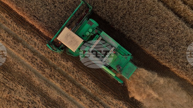 Producer Price Index in Agriculture in Bulgaria Up by 6.3% in Q3 2025, Y/Y