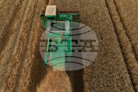 Село Локорско - жътва