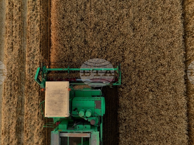 Министерството на земеделието и храните започва теренните проверки на физическите блокове за Кампания 2025