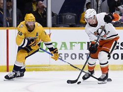 Ducks Predators Hockey