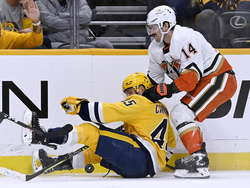 Ducks Predators Hockey