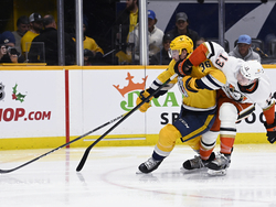 Ducks Predators Hockey