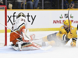 Ducks Predators Hockey