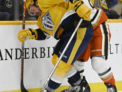 Ducks Predators Hockey