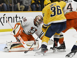 Ducks Predators Hockey