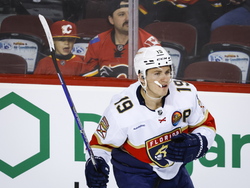 Panthers Flames Hockey