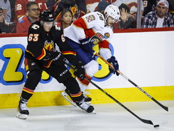 Panthers Flames Hockey