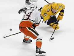 Ducks Predators Hockey