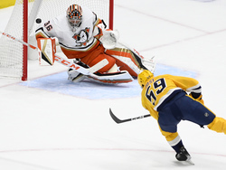 Ducks Predators Hockey