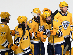 Ducks Predators Hockey