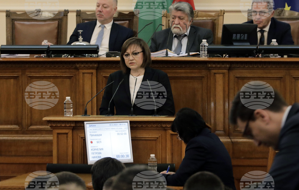 Парламент - заседание - Корнелия Нинова