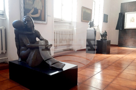 Плевен - Светлин Русев - дарение