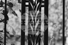 Летни фрагменти от Русе