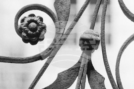 Летни фрагменти от Русе