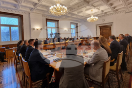 Парламент - Комисия по външна политика