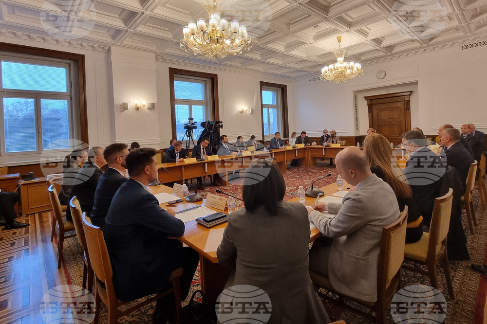 Парламент - Комисия по външна политика