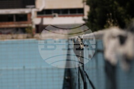 Изоставен плувен комплекс - разруха