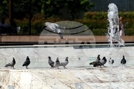 Лято - горещини