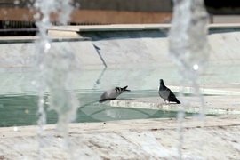 Лято - горещини